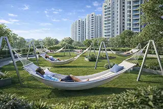 Hammock Garden